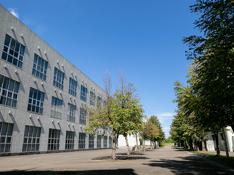 兵庫大学短期大学部